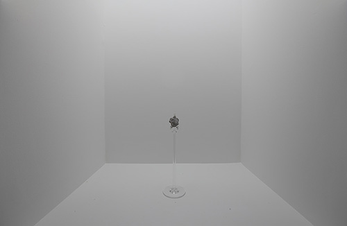 ChimPom01