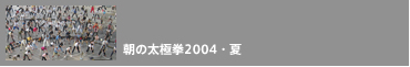 ̑Ɍ2004E